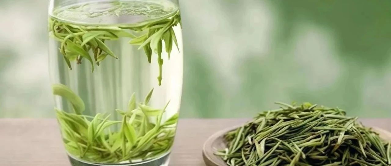 绿茶，最忌讳的泡法：先放茶再倒水，国家级茶艺师告诉你正确泡茶法，味道翻倍